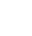 Public Sector Partner
