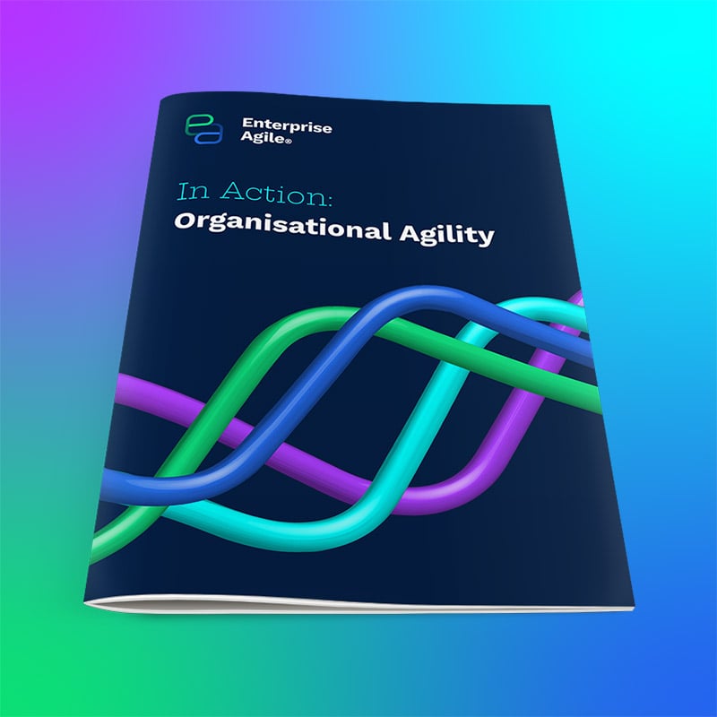 EA In Action - Organisational-Agility
