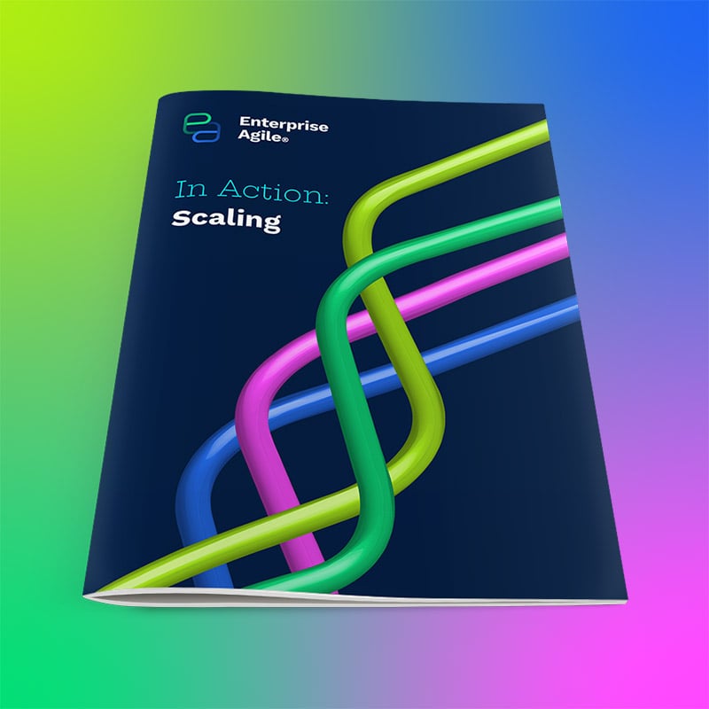 EA-In-Action-Scaling-1