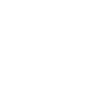 Scale-Fast-Icon
