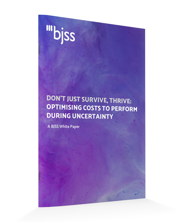 BJSS cost optimisation strategy whitepaper