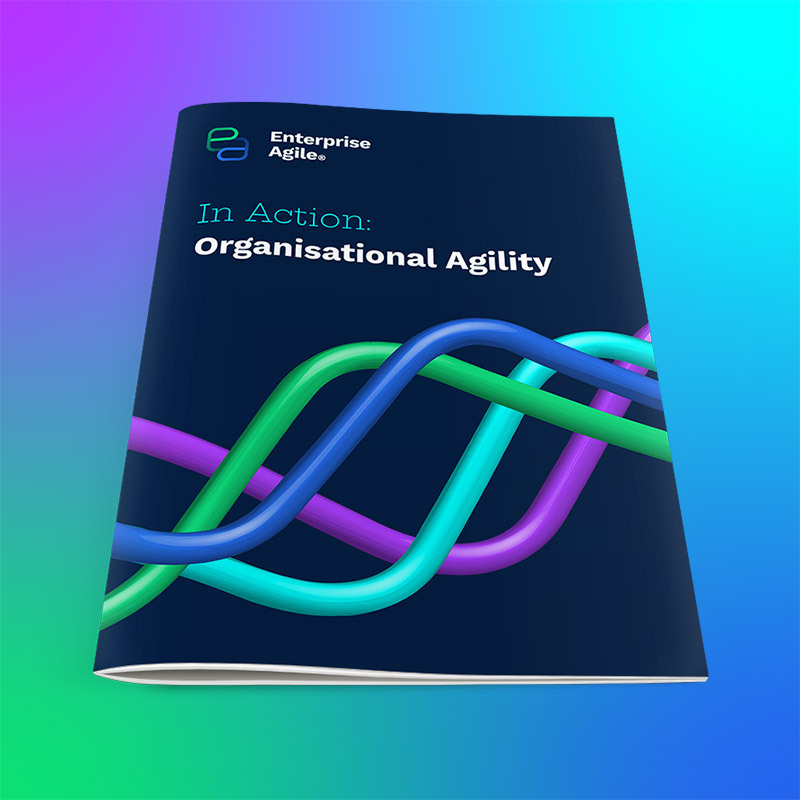 EA-In-Action-Organisational-Agility