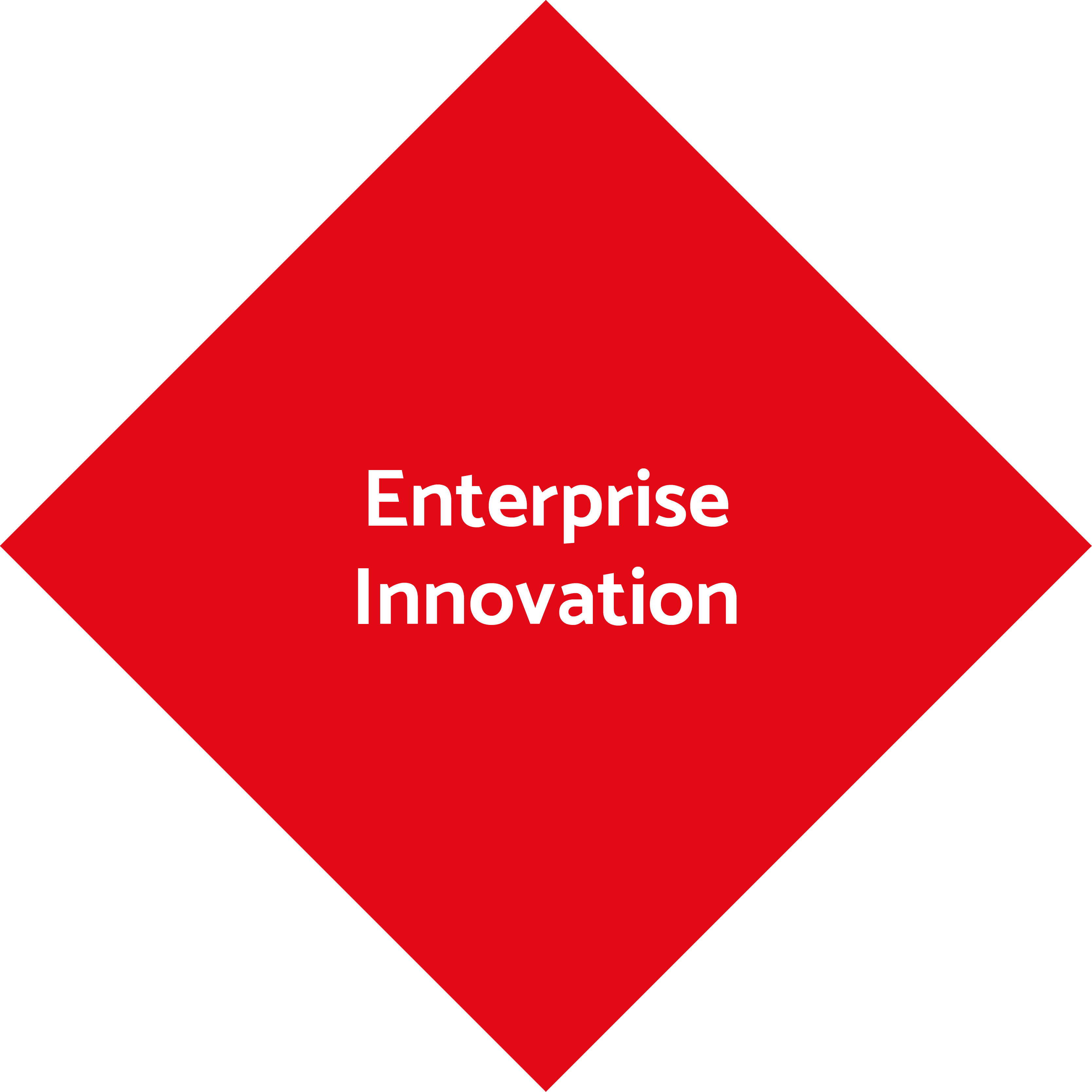 Enterprise-Innovation