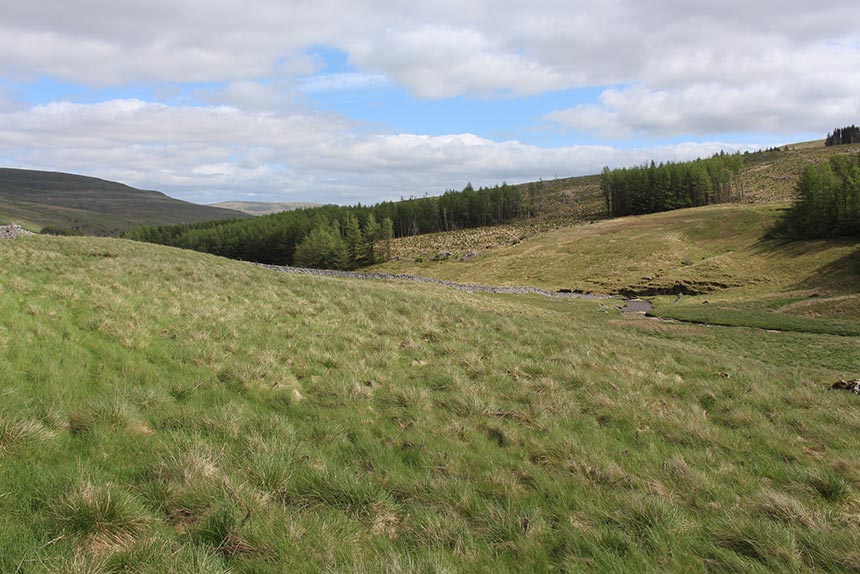 Greenfields-Yorkshire-3-860x574