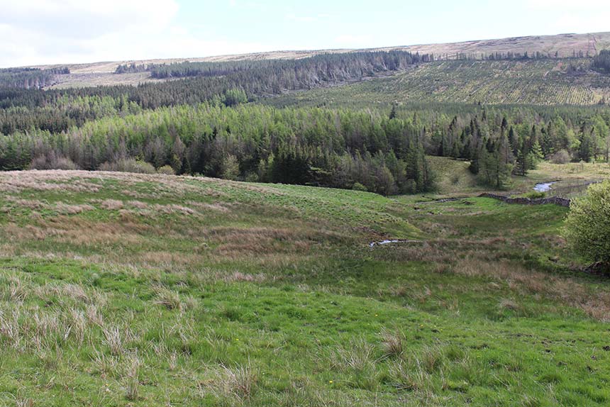 Greenfields-Yorkshire-860x574