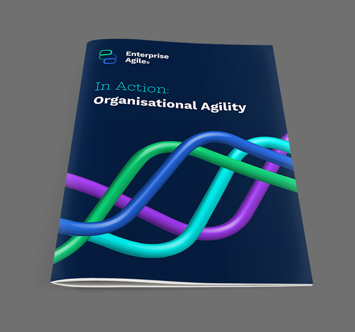 EAIA: Organisational Agility